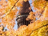 Orton Hall bell tower with autumn leaves in the foreground