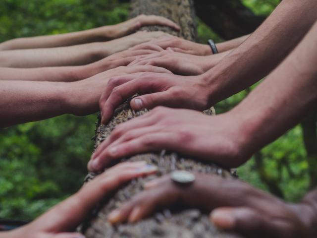Several hands are shown resting side by side on a tree branch